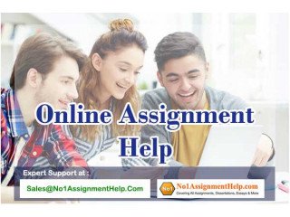 Online Assignment Help At No1AssignmentHelp.Com