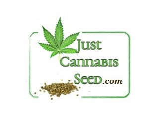 Win Free Pot Seeds justcannabisseed-com