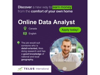 (Part-Time Remote Work) Online Data Analyst
