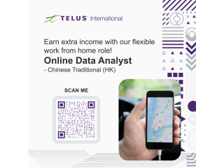 Online Data Analyst in Hong Kong | REMOTE