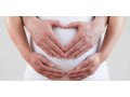 understanding-female-infertility-causes-and-diagnosis-small-0