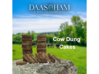 Dung Cake Online In Delhi