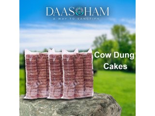 Making Cow Dung Cake In Uttar Pradesh