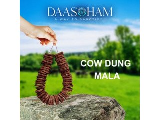 Cow dung cake price