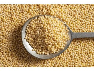 Eagle Asia, the prominent Millet supplier offers the most competitive payment options