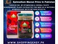 turkish-epimedium-macun-price-in-okara-03476961149-small-0