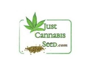 Grow Bibles, Medical Effects of Cannabis, ect