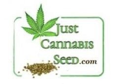 grow-bibles-medical-effects-of-cannabis-ect-big-0
