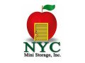 nyc-mini-storage-small-0
