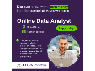 Freelance Spanish speaking Online Data Analyst
