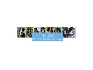 Dog grooming Utah