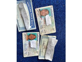 IDS, Passports, D license, Documents IDS, Passports, D license
