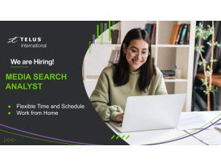 Flexible Time | Media Search Analyst (Vietnam)